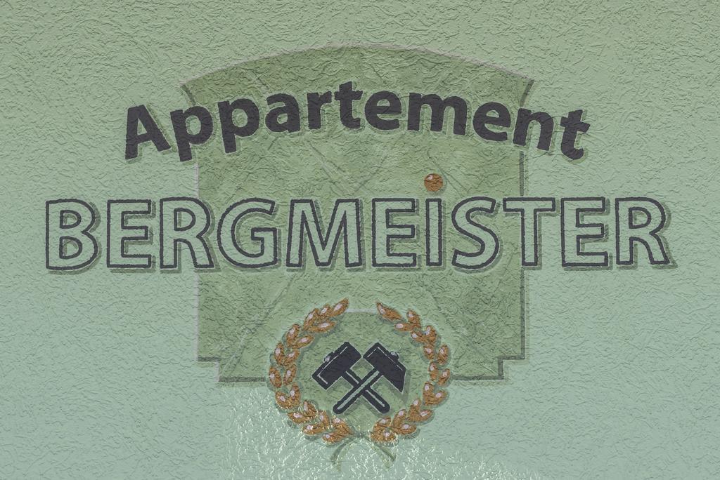 Appartement Bergmeister Rauris Extérieur photo